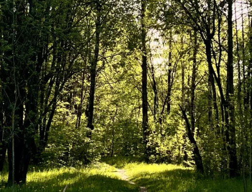 Foyer Familial de la Jeune Fille